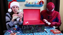 Giant Surprise Toys Mystery Box From TheEngineeringFamily with Blind Bags & Bean Boozled Candy
