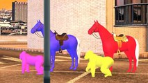Colors Horse | 3D Horse Colours Songs | Colours Rhymes For Children | Horse Cartoons