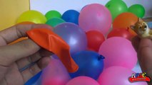 balloons kids toys videos | putting kids toys into balloons videos