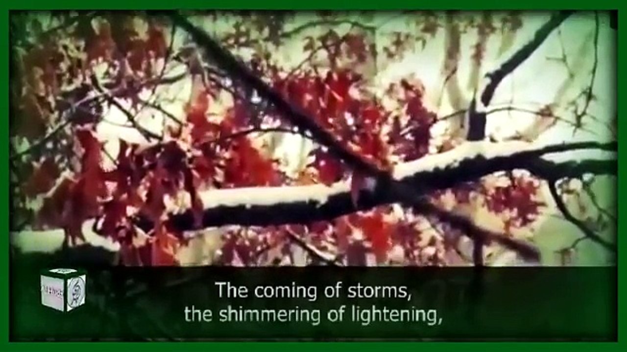 strange creations of the world - what we know about the creator