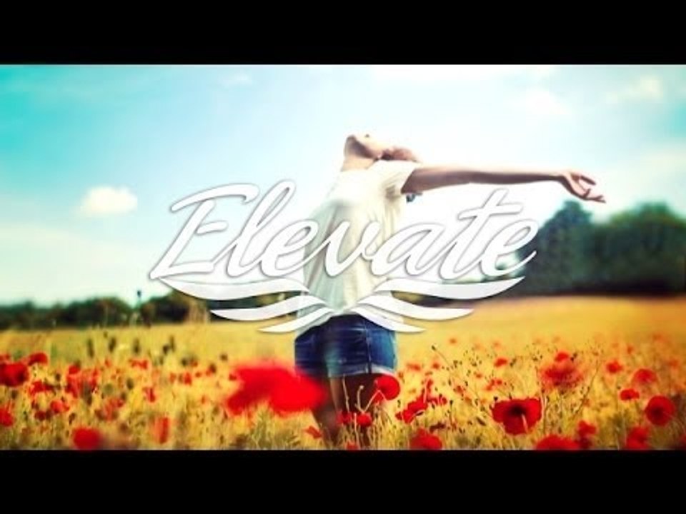 Avens - Hope
