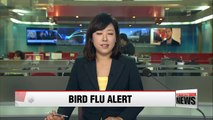 Korea issues highest alert against bird flu for first time
