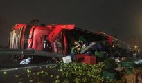 TEM'de sebze yüklü kamyon devrildi: 2 yaralı