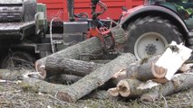 Abattage d'arbres vallée du Goëlo