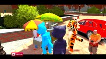COLORS BMW CARS PARTY & COLORS TALKING TOM CAT NURSERY RHYMES SONGS FOR CHILDREN WITH ACTION