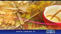Subah Saverey Samaa Kay Saath | SAMAA TV | Madiha Naqvi | 16 Dec 2016