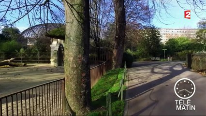 Faune - Sauvons la ménagerie du Jardin des plantes !