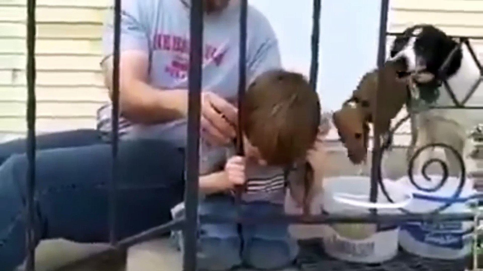 Funny kids, ultimate funny video