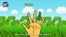 Finger Family Rhymes | Funny Vegetable Finger Family | Daddy Finger | Nursery Cartoon Rhymes