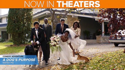 Resident Evil_ The Final Chapter, A Dog's Purpose