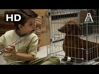 Le Teckel - BANDE ANNONCE VOST