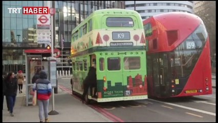 Londra'da köpeklere otobüslerle şehir turu