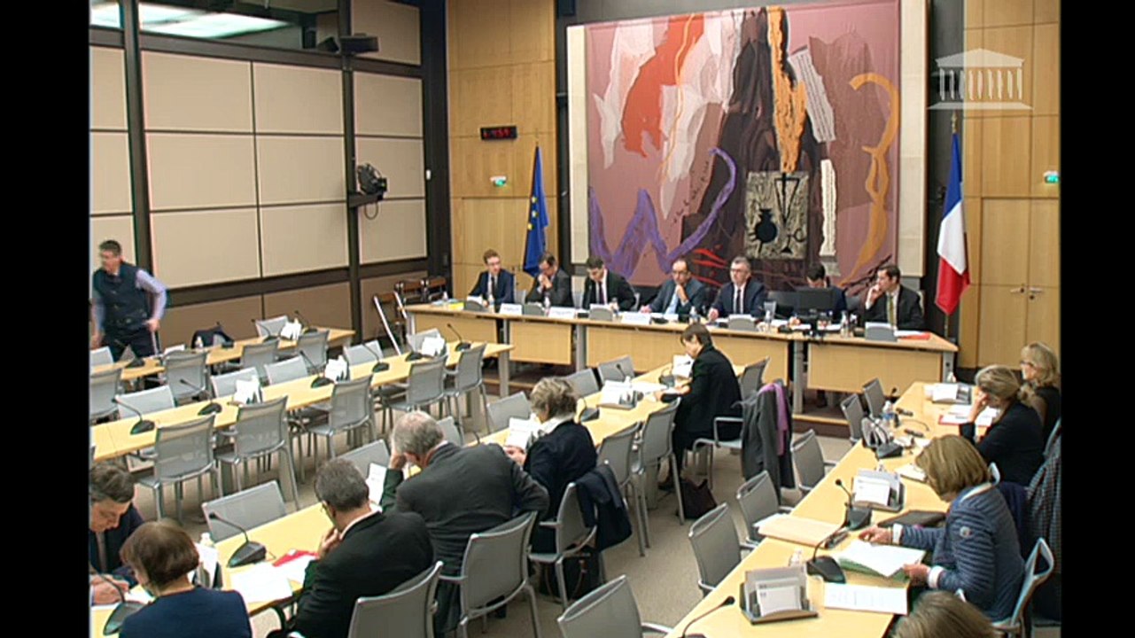 Intervention de Daniel Goldberg à l'Assemblée nationale le 25 janvier 2017 sur l'application de la loi ALUR