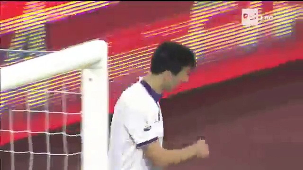 Napoli vs Fiorentina 1-0 All Goals Highlights - Ampia Sintesi (24_01_2017) Coppa Italia HD