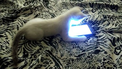 Olha quem estava com o Meu Celular