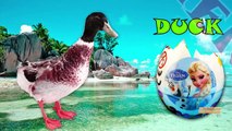 SUPER mario Wild animals Names Kids - Colors Dinosaurs Finger family 3d Rhymes - Domestic Animals