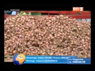 RTI - Edition de 15h du JT du dimanche 17 aout 2014