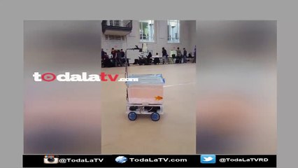 La pecera robótica; el Pez controla hacia dónde quiere ir con su movimiento-Video