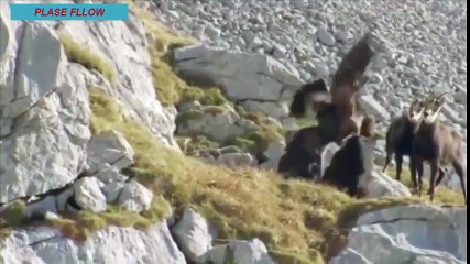 New HITS TURKISH SONG