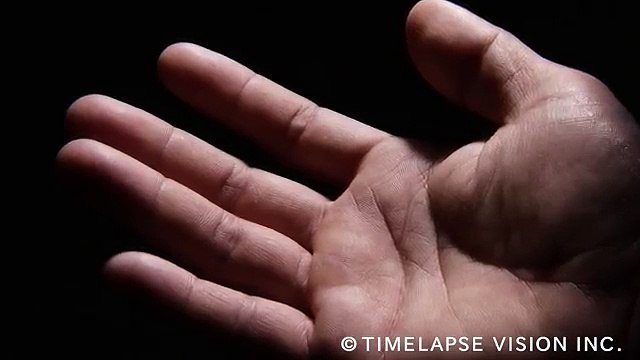 The sweat glands on your fingers