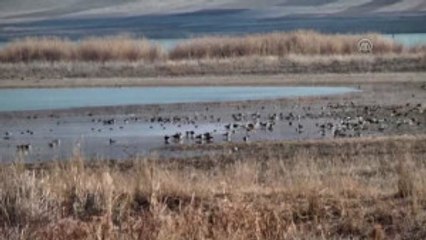 Kuşlar Için Havai Fişek Atımı Yasaklandı - Vali Yılmaz'ın Açıklaması