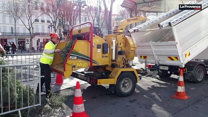 Marseille : les sapins de Noël transformés en compost