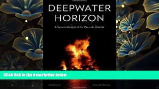 DOWNLOAD EBOOK Deepwater Horizon: A Systems Analysis of the Macondo Disaster Earl Boebert Full Book