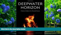 READ book Deepwater Horizon: A Systems Analysis of the Macondo Disaster Earl Boebert Full Book