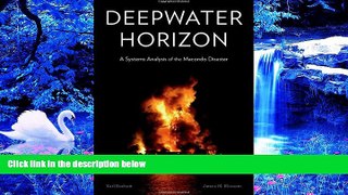 READ book Deepwater Horizon: A Systems Analysis of the Macondo Disaster Earl Boebert Pre Order