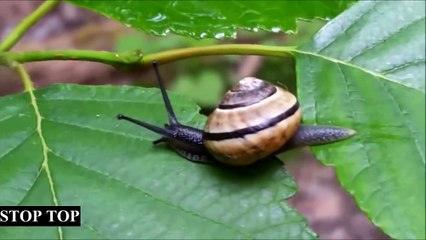 УЛЕТНЫЕ ПРИКОЛЫ