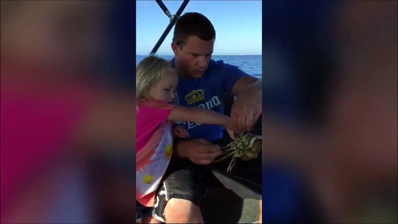 Elle lache le crabe sur le kiki de papa... Oups
