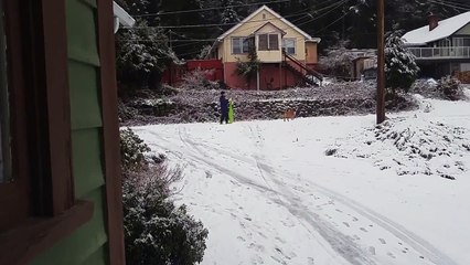 Un chien pousse son maître sur une luge !