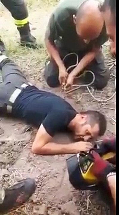 Des pompiers sauvent un chiot coincé !