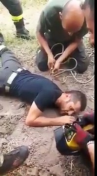 Des pompiers sauvent un chiot coincé !