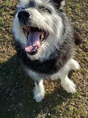 Lady una rinascita... ora desidera una famiglia...