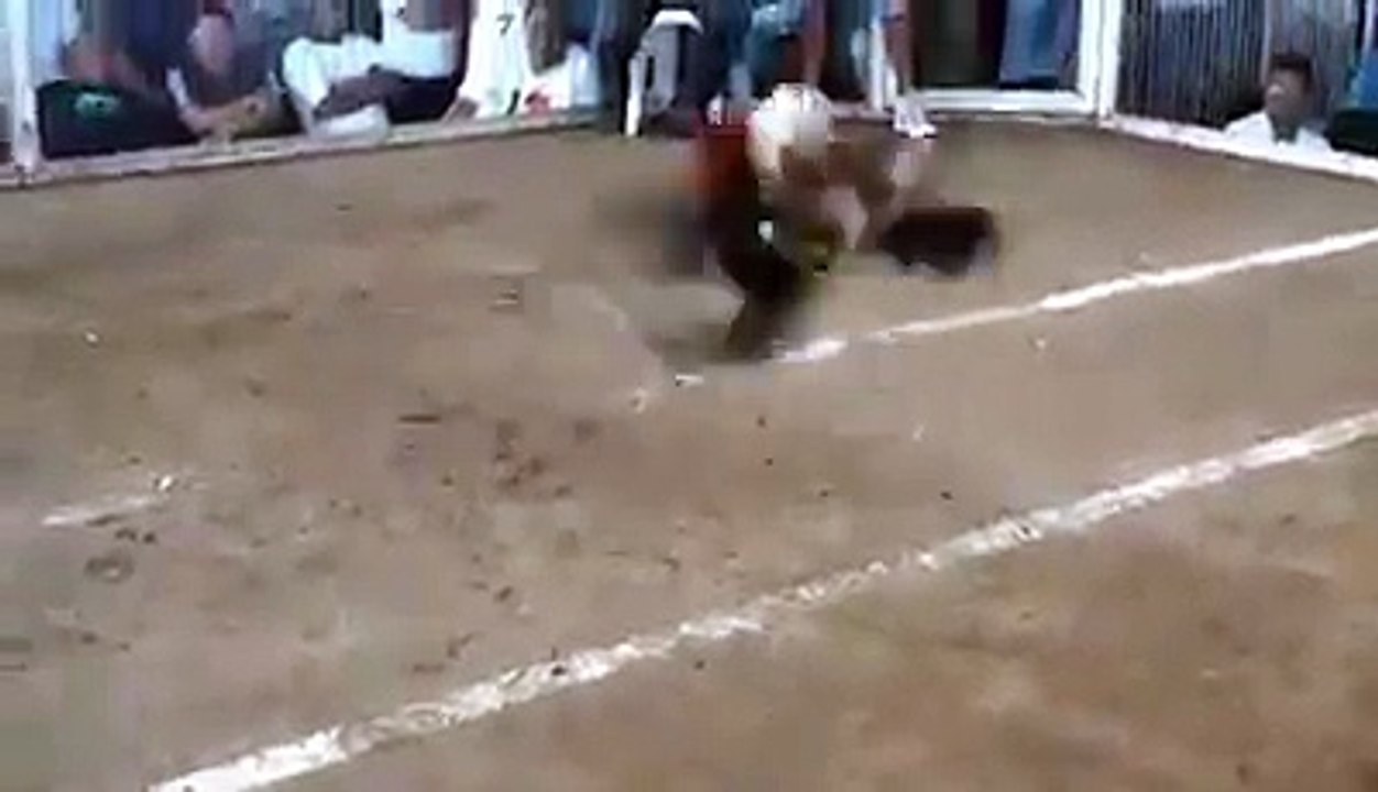 Briga De Galo E Um Sai Sem A Cabeça