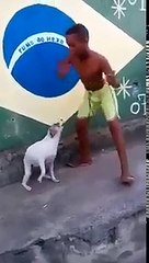 Cachorro dançando Axé