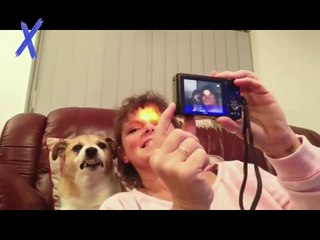 Животные приколы # 2