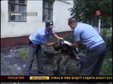 Будущее России в надёжных руках. Будущий электорат царя.