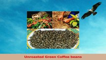 Kopi Luwak Robusta Wild Civet Coffee 2 Pounds Unroasted Green Coffee Beans 07fa8058