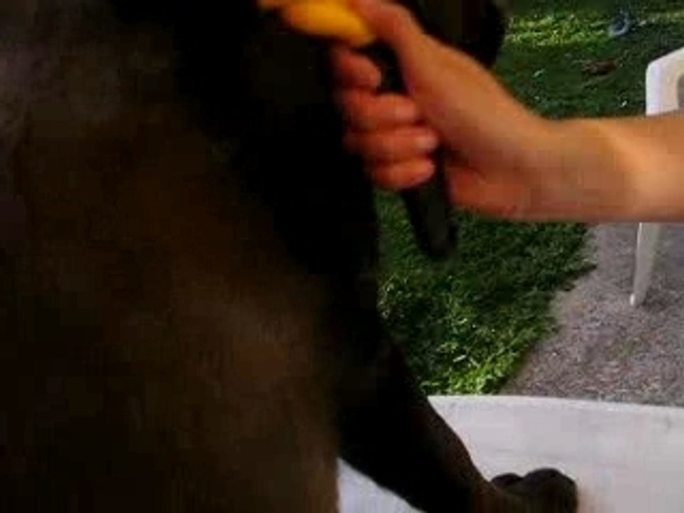 Furminator