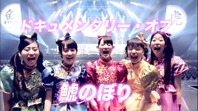 ドキュメンタリー 鯱のぼり