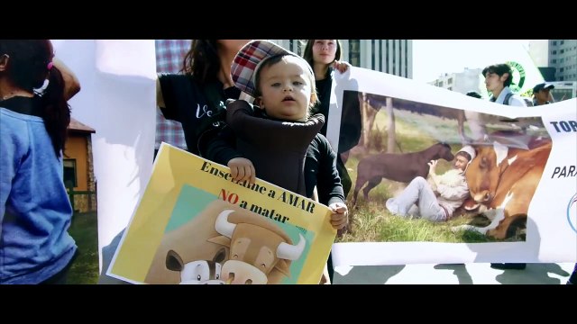 Manifestação Anti-Touradas Bogotá-Colombia