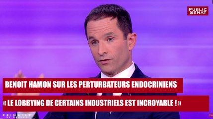 REPLAY. Benoit Hamon sur les perturbateurs endocriniens : "le lobbying d'un certain nombre d'industriels est incroyable"