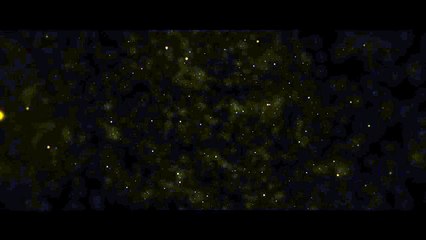 🔥 Team PTG Advanced Paid Intro Pack + Free Style! Get Yours Now