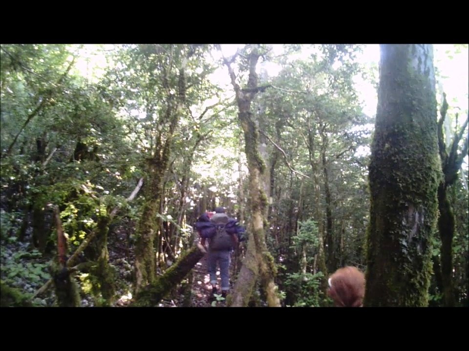etrange apparition dans la montée du bugarach