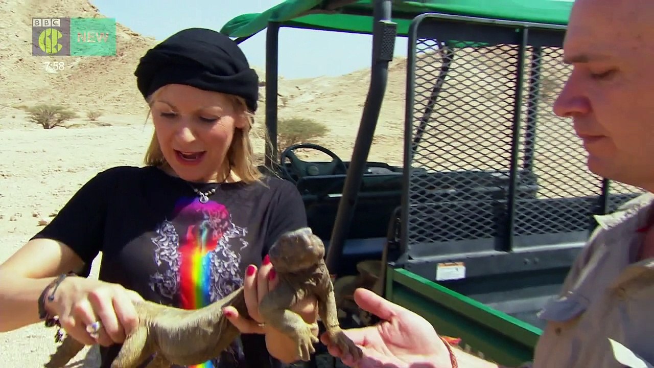 CBBC  Naomi's Nightmares of Nature  s04e09  Arabian Adventure