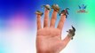 Большой 3D динозавров 3D петуха птицы, дети пальцем песни | Детская рифма | динозавров для детей