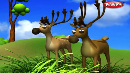 Deer Nursery Rhyme | Animal Rhymes | Nursery Rhymes For Kids | Nursery Rhymes 3D Collection