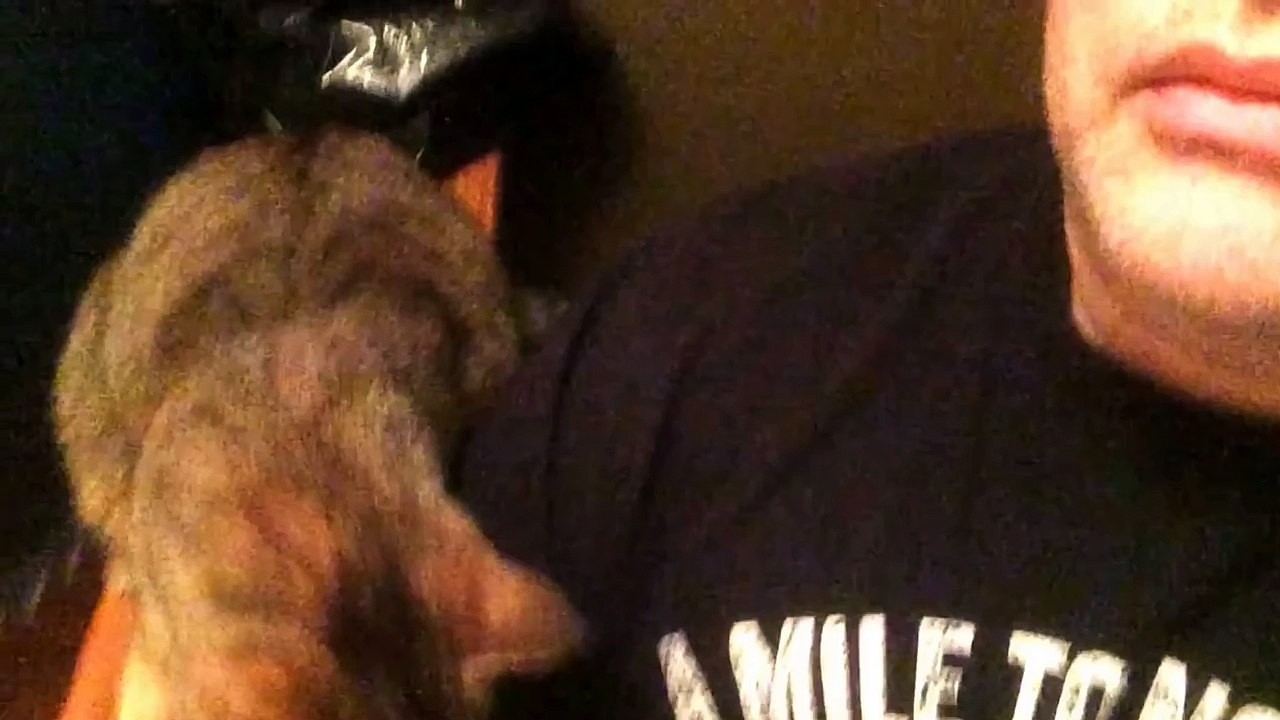 Tigger Loves me and Demands that I Love Her